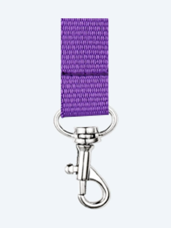 Carabiner Hook